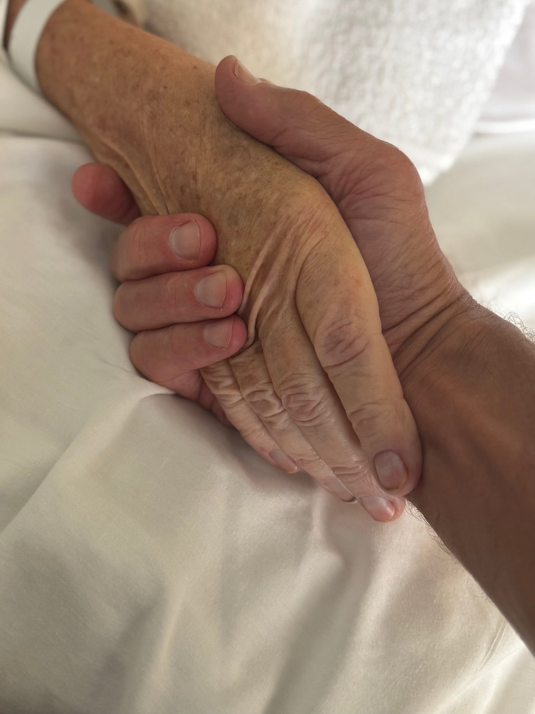 An Enduring Approach Toward Cultivating Longevity from Within: Part 1